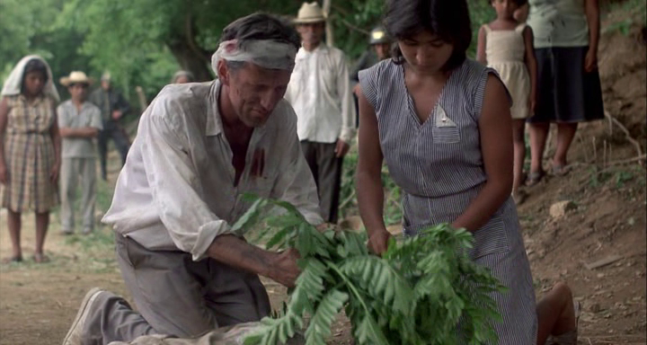 Salvador (1986)
