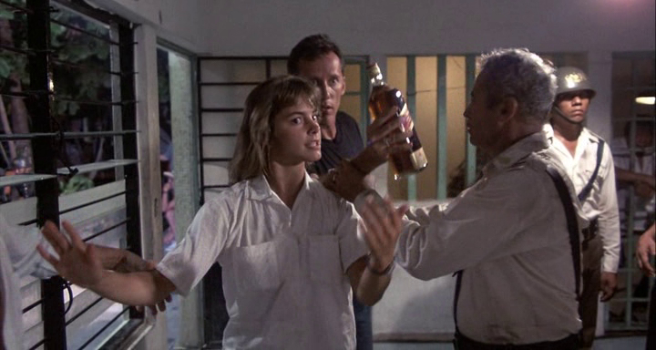 Salvador (1986)