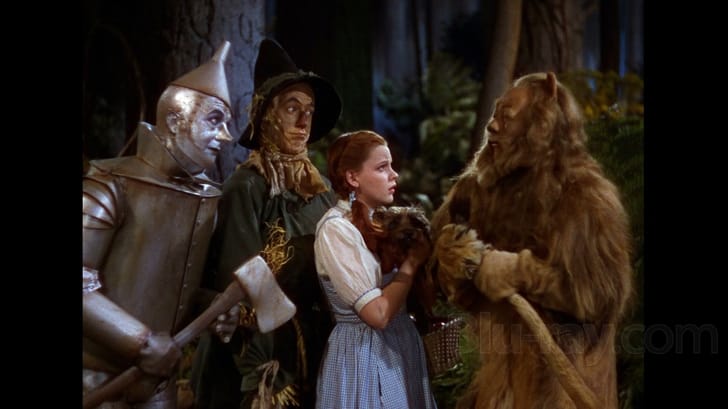 The Wizard of Oz (70th Anniversary Ultimate Collector's Edition) [Blu-ray]