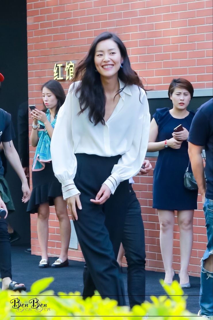 Liu Wen