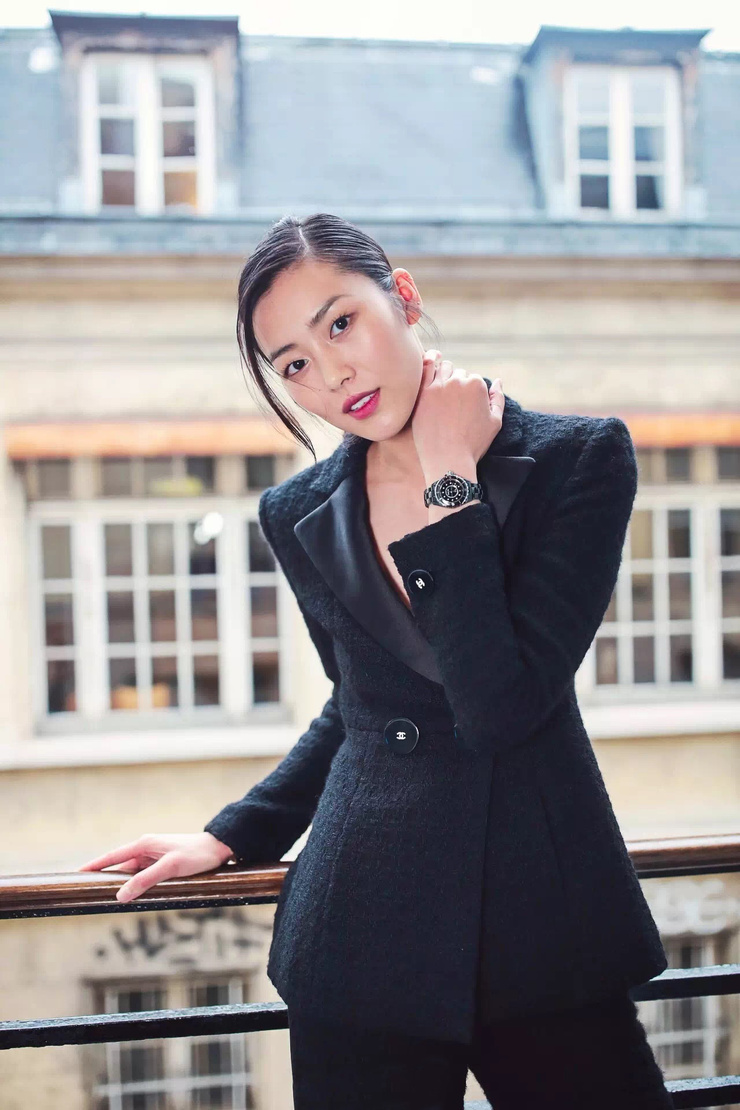 Liu Wen