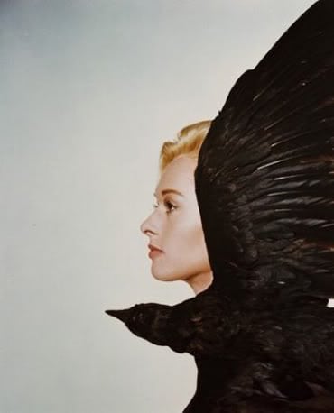 The Birds