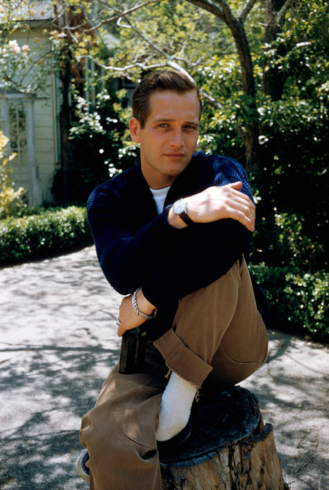 Paul Newman