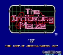 The Irritating Maze