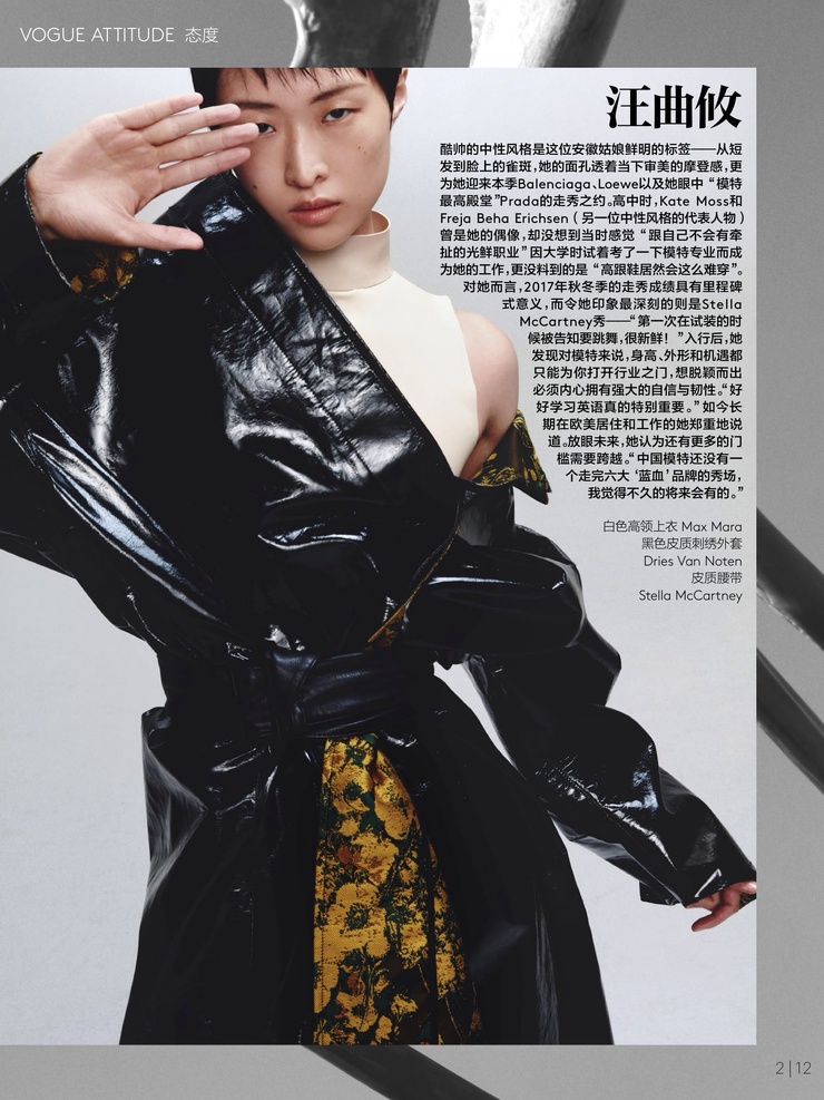 Wang Han