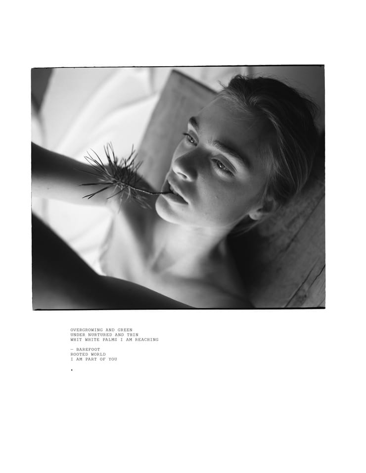 Hedvig Palm