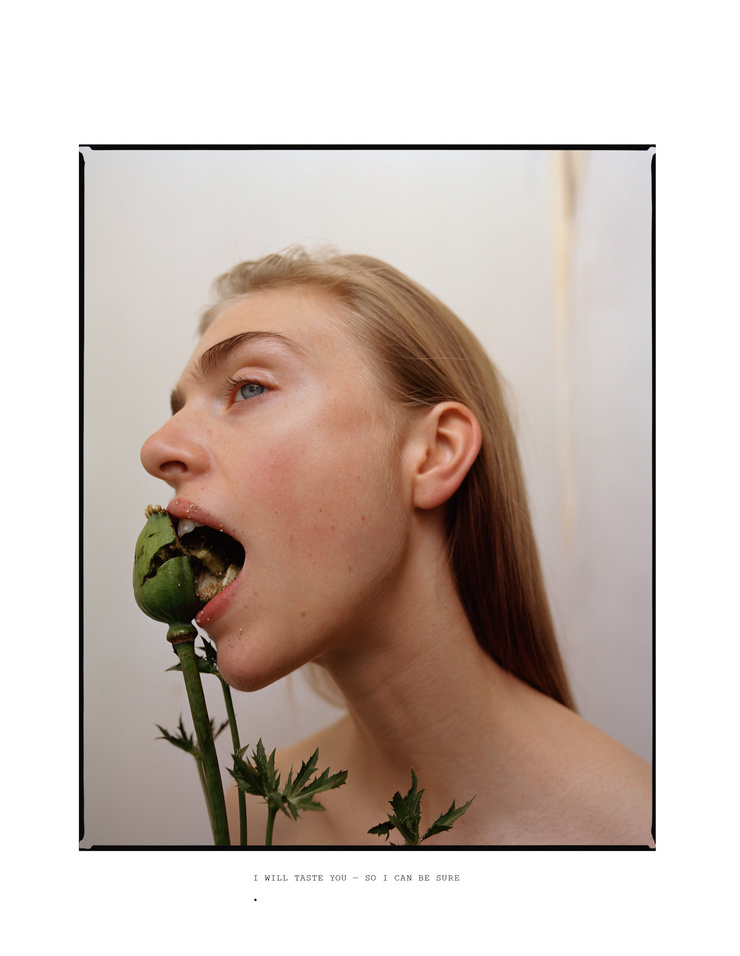 Hedvig Palm
