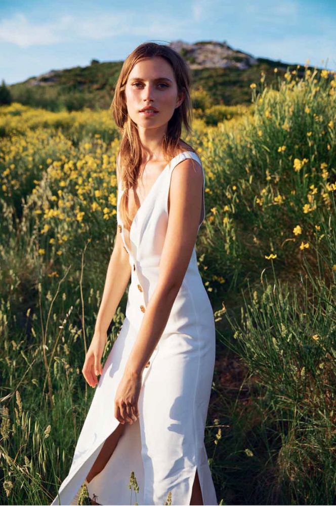 Cato Van Ee