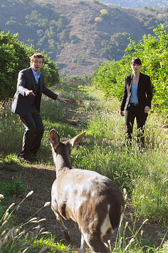 The Mentalist