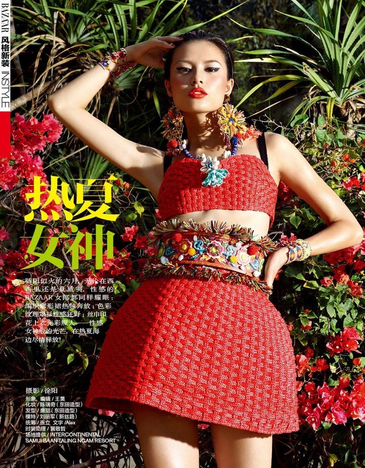 Liu Li Jun