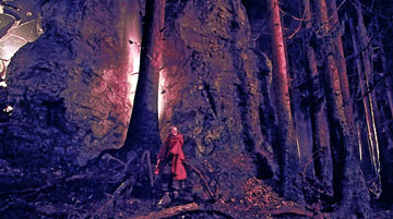 The Brothers Grimm