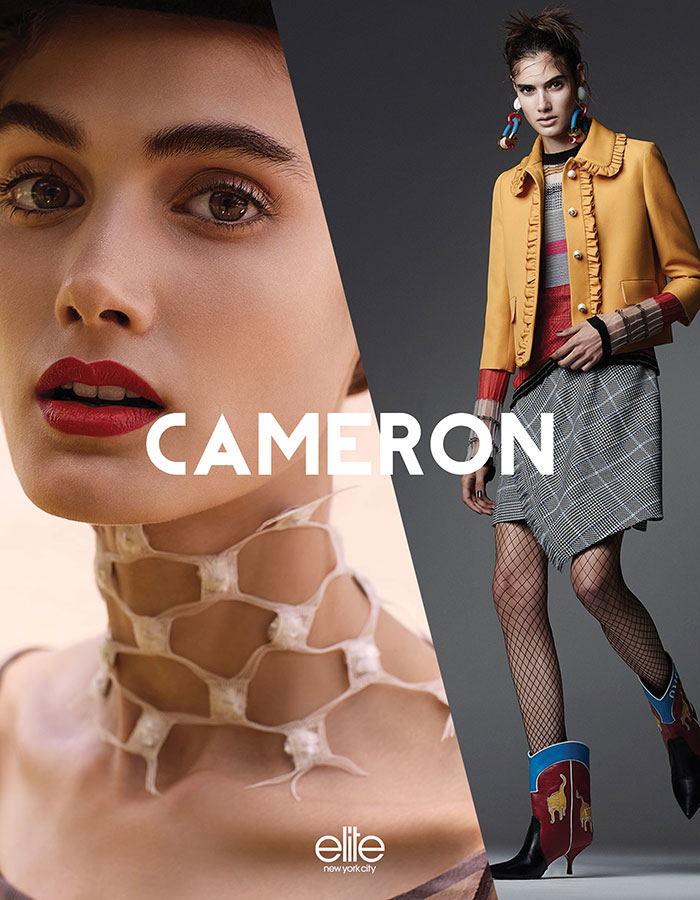 Cameron Traiber