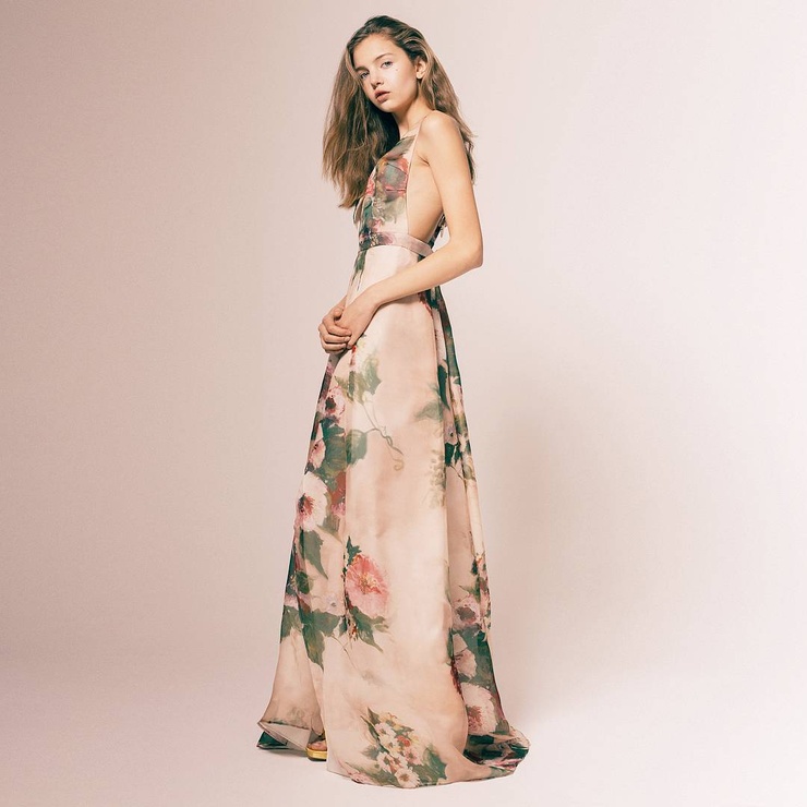 ANNA VIVCHAR
