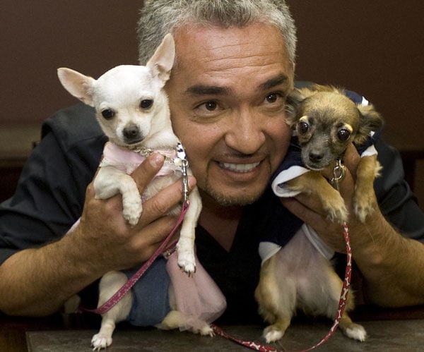 Cesar Millan