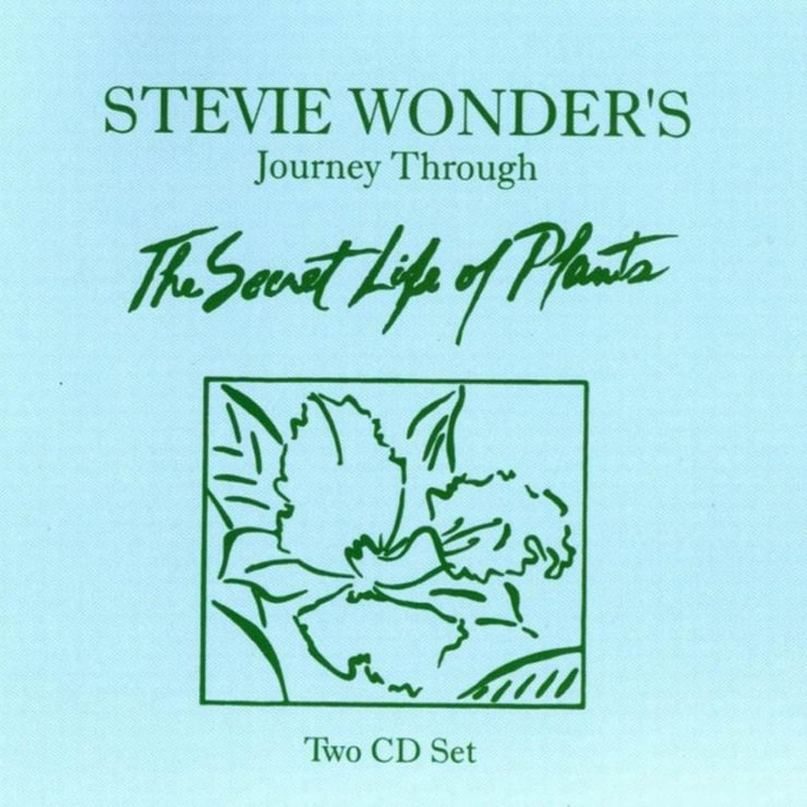 Stevie Wonder's Journey Through 
