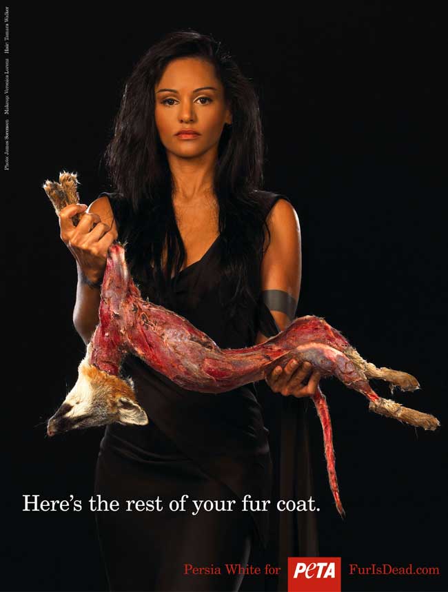Persia White Persia White