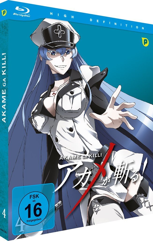 Akame ga Kill Vol. 4 