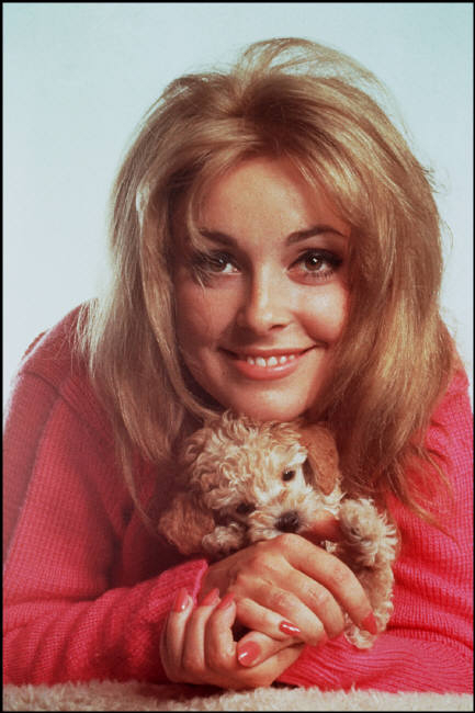 Sharon Tate Sharon Tate