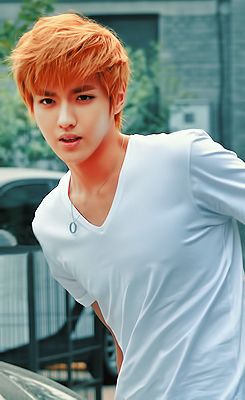Kris Wu