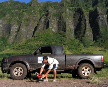 50 First Dates