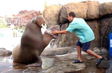 50 First Dates