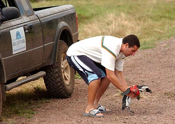 50 First Dates