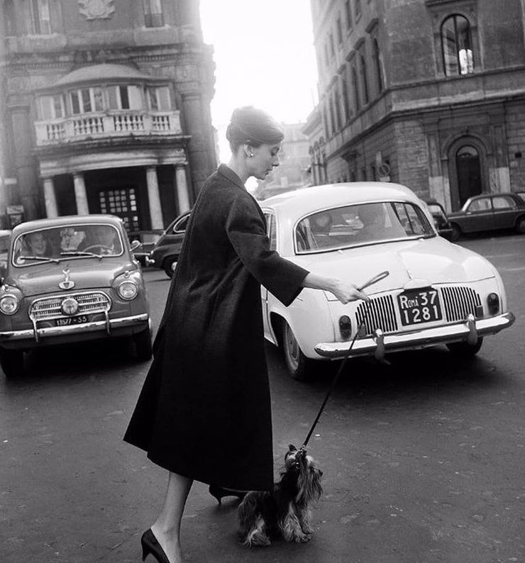 Audrey Hepburn Audrey Hepburn