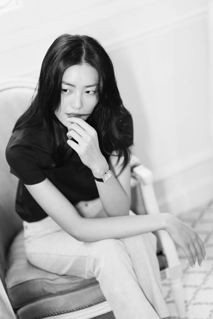 Image of Liu Wen