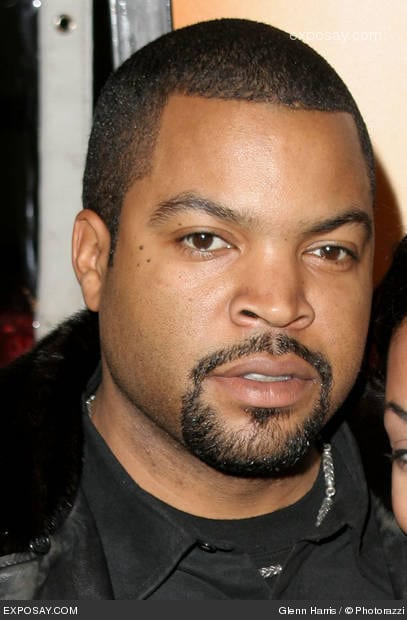 Picture of Ice Cube