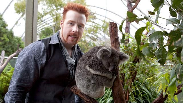 Sheamus