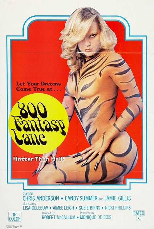 800 Fantasy Lane (1979)