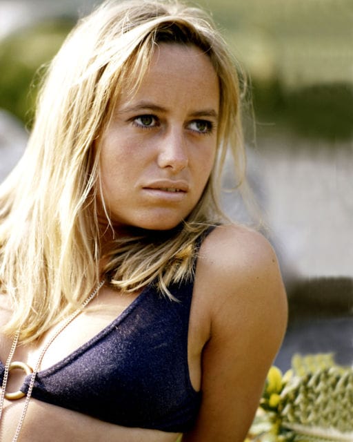 Susan George Susan George