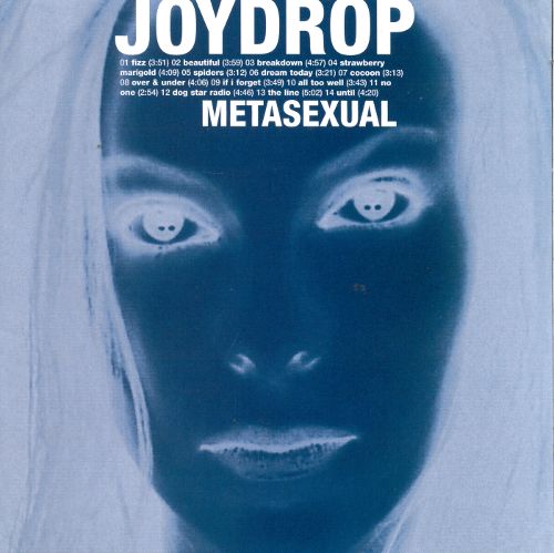 Metasexual