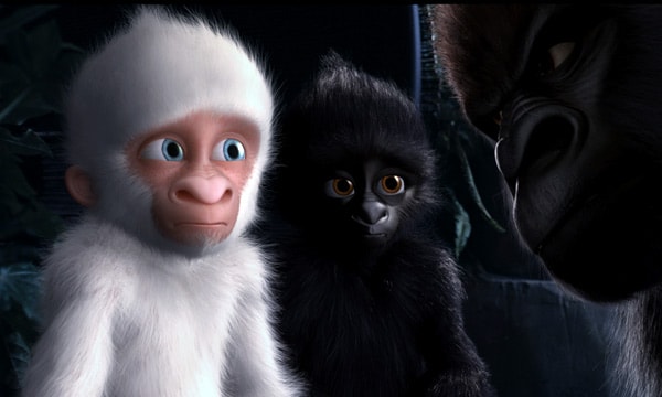 Snowflake the White Gorilla Snowflake the White Gorilla