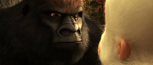 Snowflake the White Gorilla Snowflake the White Gorilla
