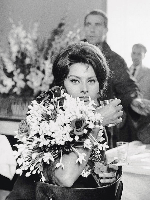Sophia Loren