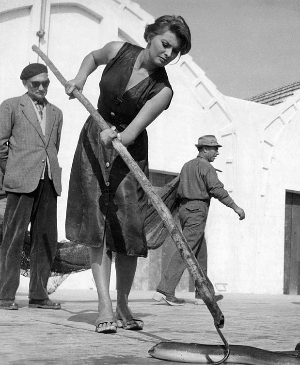 Sophia Loren