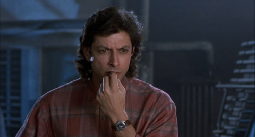 The Fly