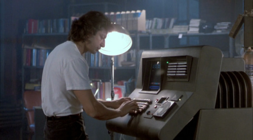 The Fly