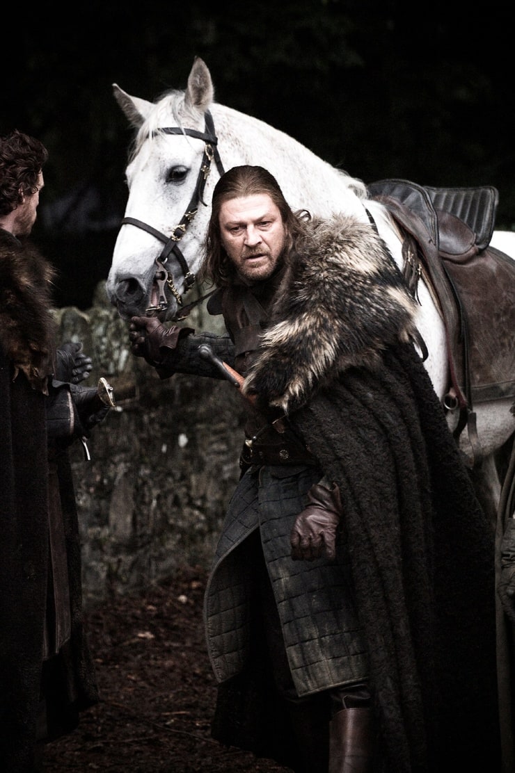 Eddard Stark