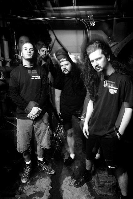 Pantera Pantera