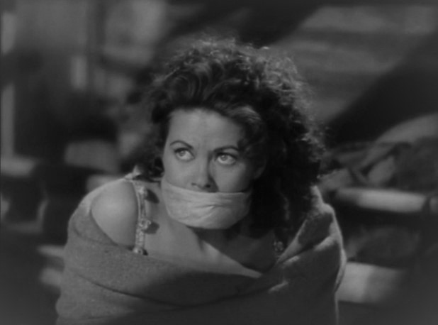 Sea Devils Sea Devils