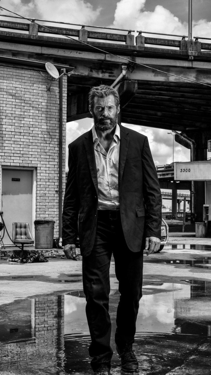 Wolverine / Logan  (Hugh Jackman)