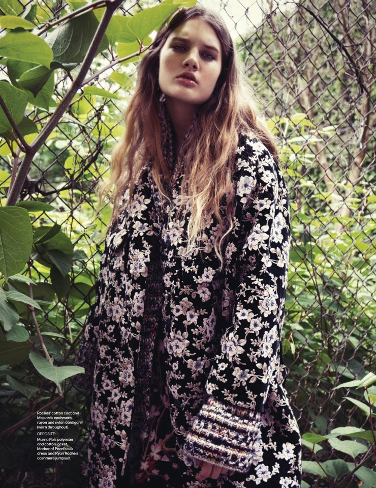 callie dixon