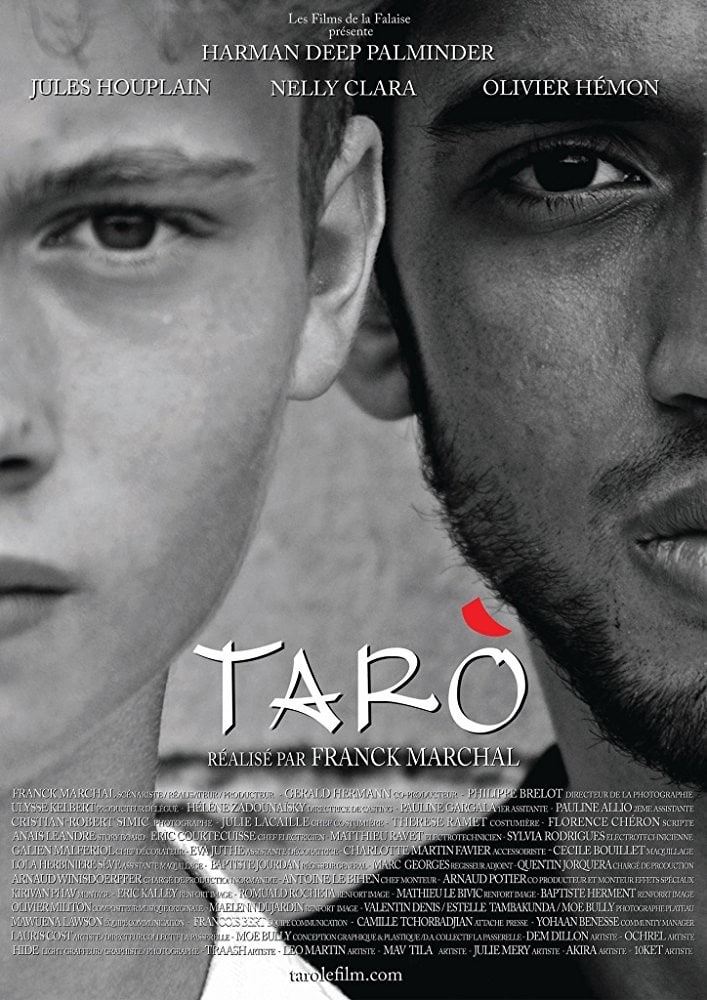 Taro