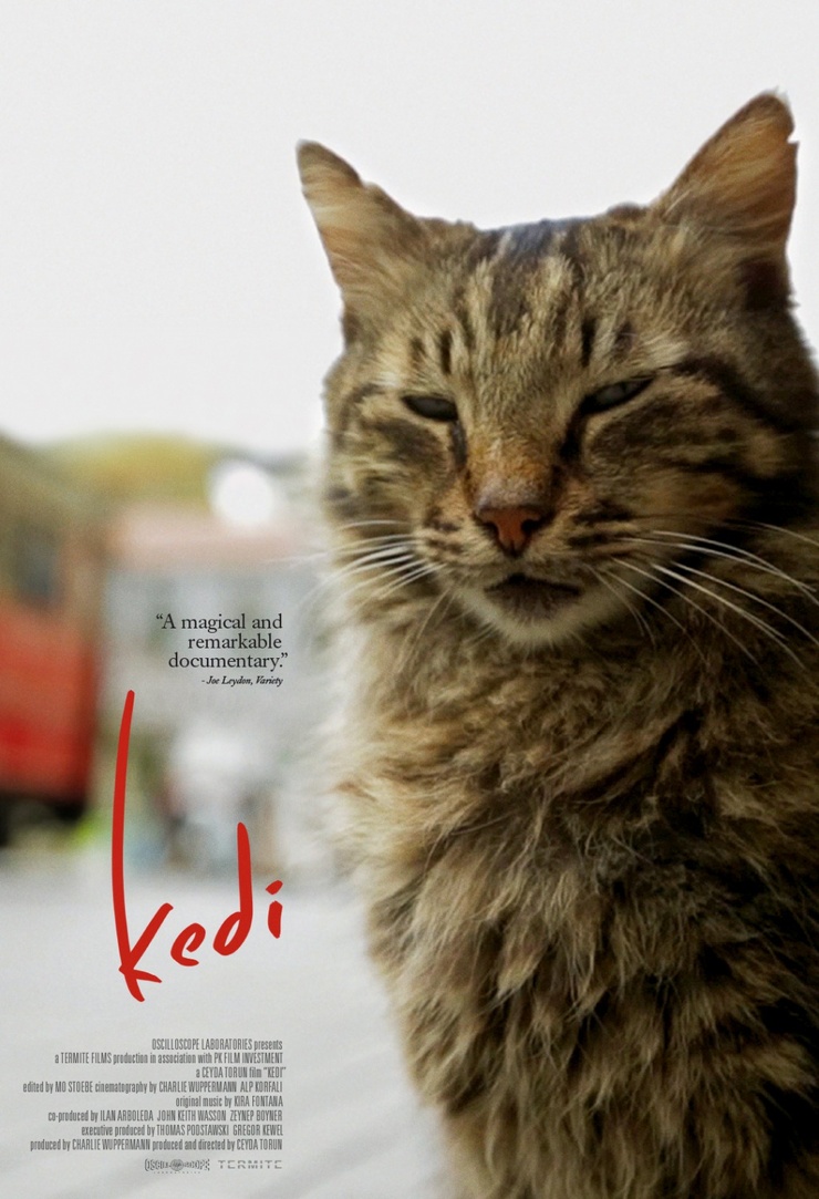 Kedi Kedi