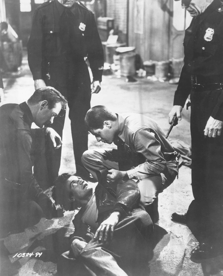 Picture of The Delicate Delinquent