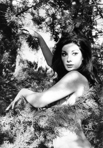 Edwige Fenech