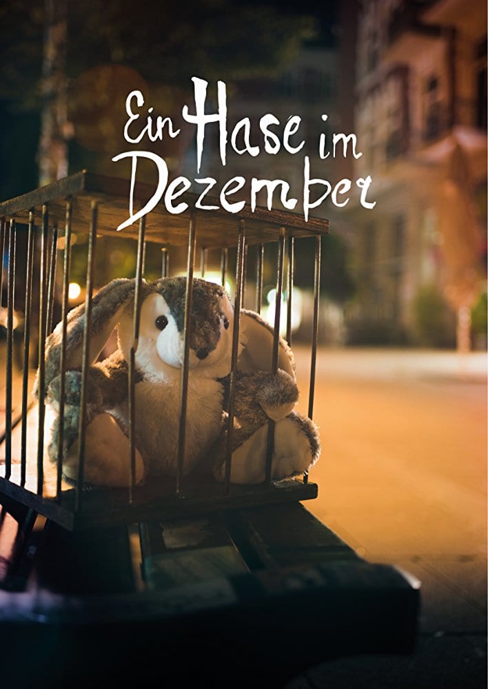 Ein Hase im Dezember