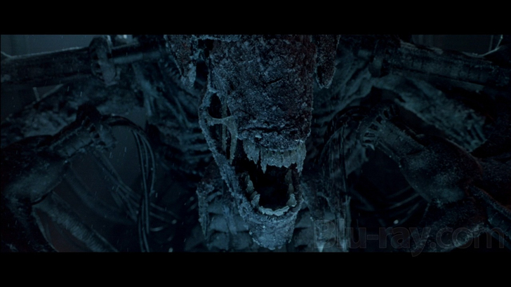 AVP: Alien vs. Predator / Aliens vs. Predator: Requiem (Unrated Two-Pack) 